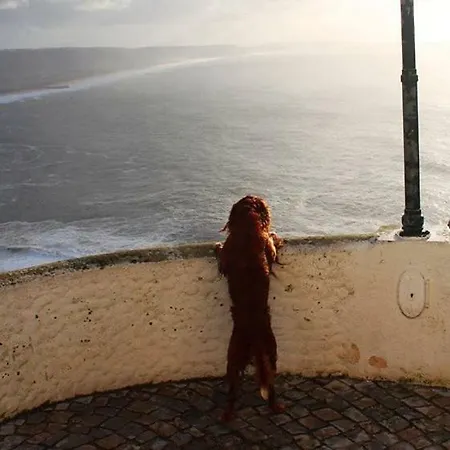 - The Little Star Semesterbostad Nazaré
