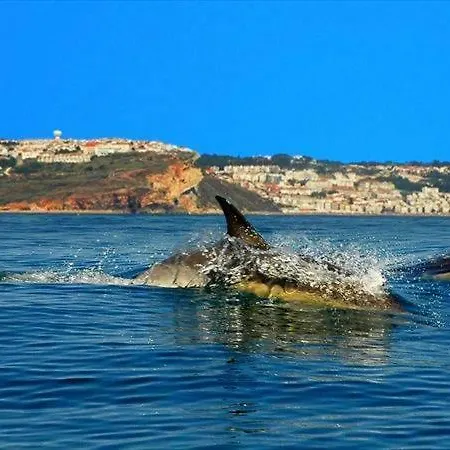 Semesterbostad - The Little Star *