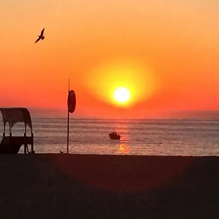 - The Little Star Holiday home Nazare