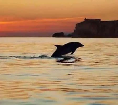 - The Little Star Holiday home