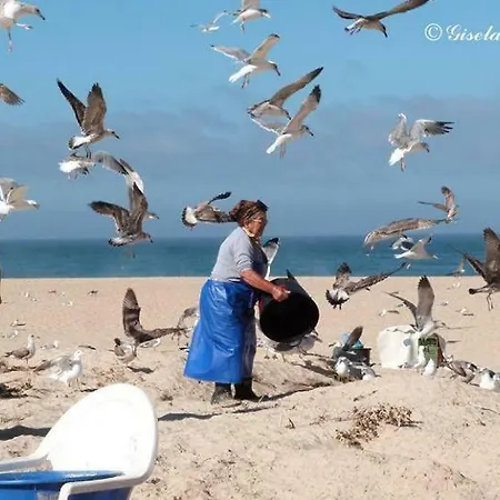 Holiday home - The Little Star Nazare